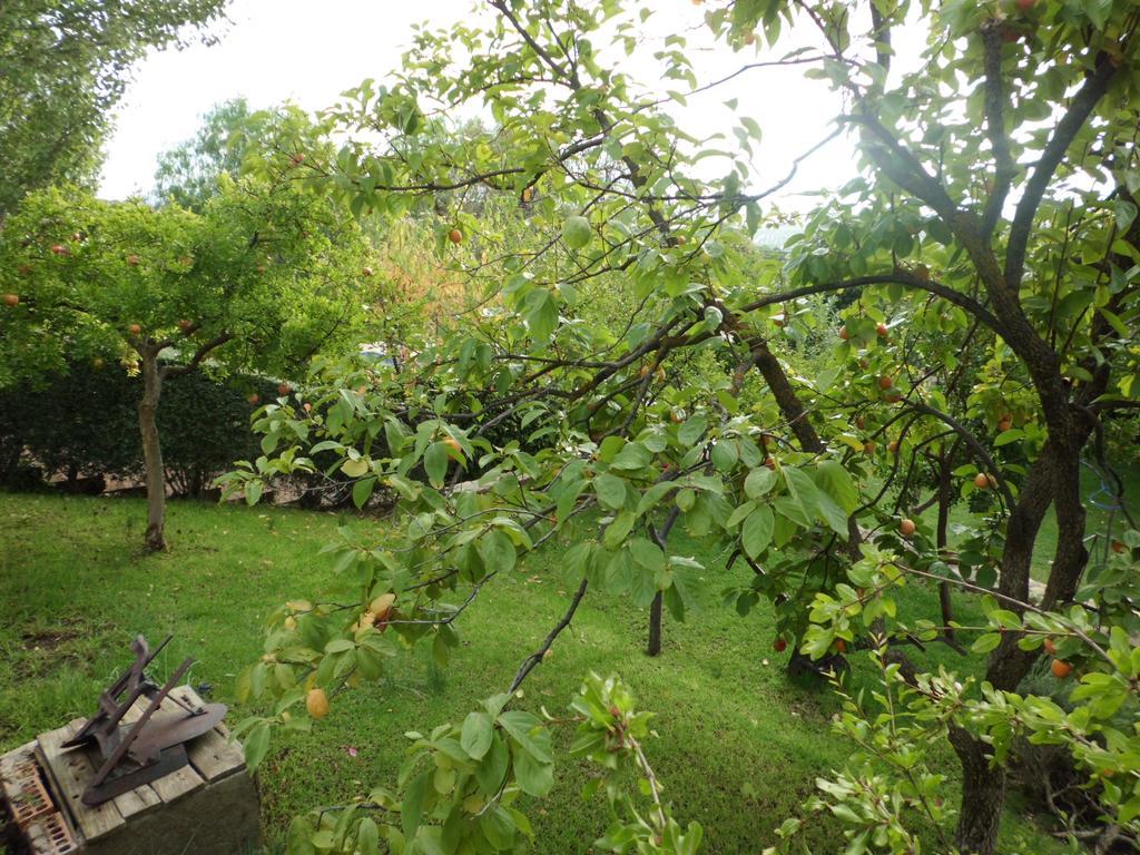 Apartamentos Baeza Rn 외부 사진